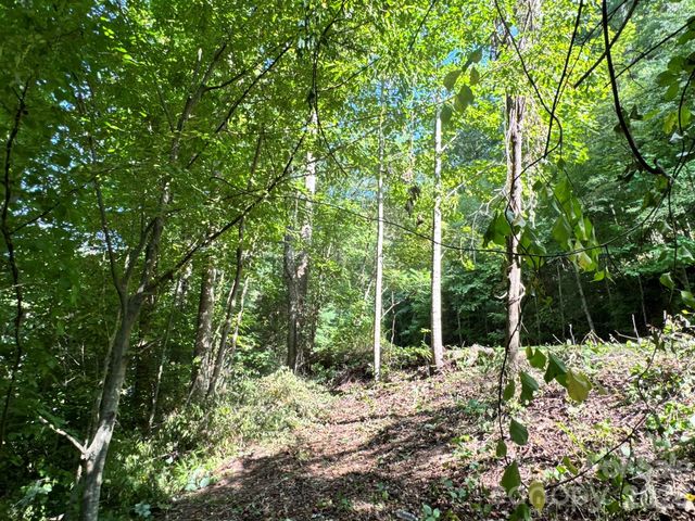 19 Garren View Drive, Fairview, NC 28730