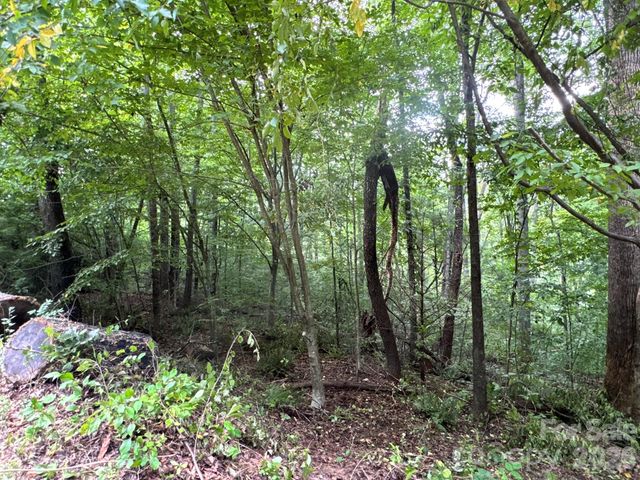 19 Garren View Drive, Fairview, NC 28730