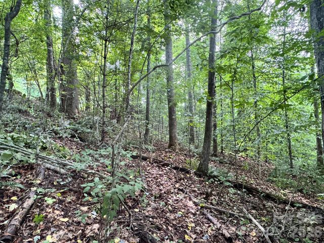 19 Garren View Drive, Fairview, NC 28730