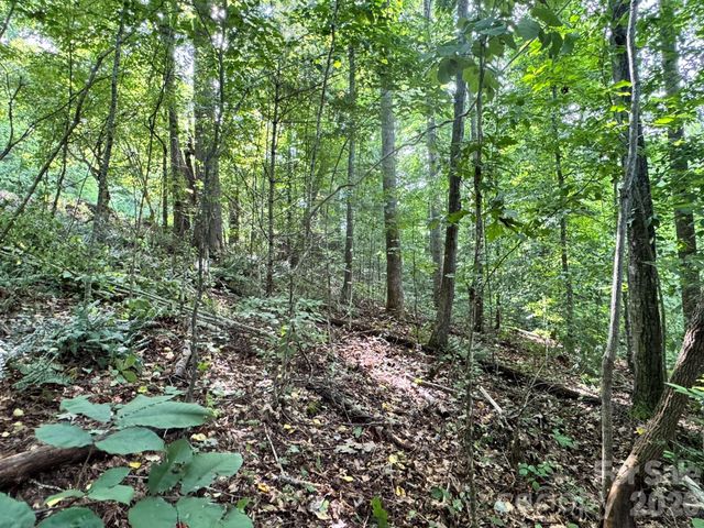 19 Garren View Drive, Fairview, NC 28730