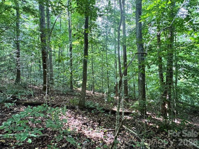 19 Garren View Drive, Fairview, NC 28730