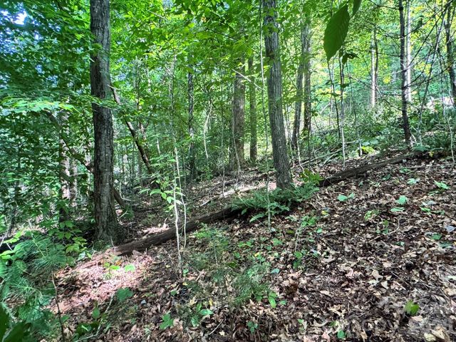 19 Garren View Drive, Fairview, NC 28730