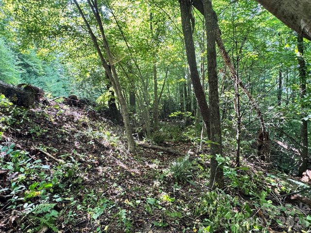 19 Garren View Drive, Fairview, NC 28730