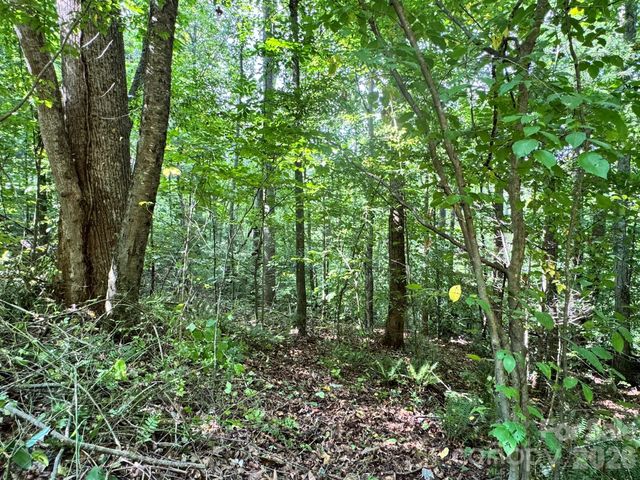 19 Garren View Drive, Fairview, NC 28730