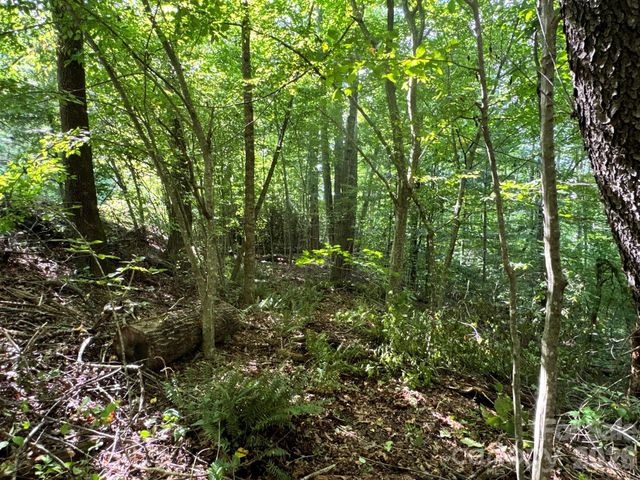 19 Garren View Drive, Fairview, NC 28730