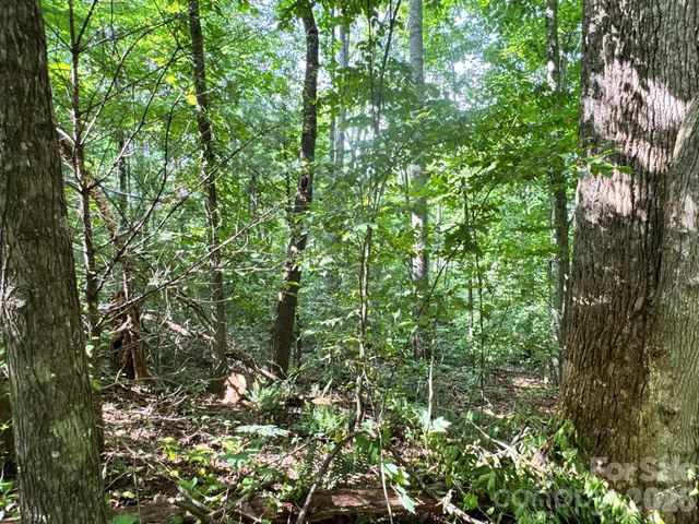 19 Garren View Drive, Fairview, NC 28730