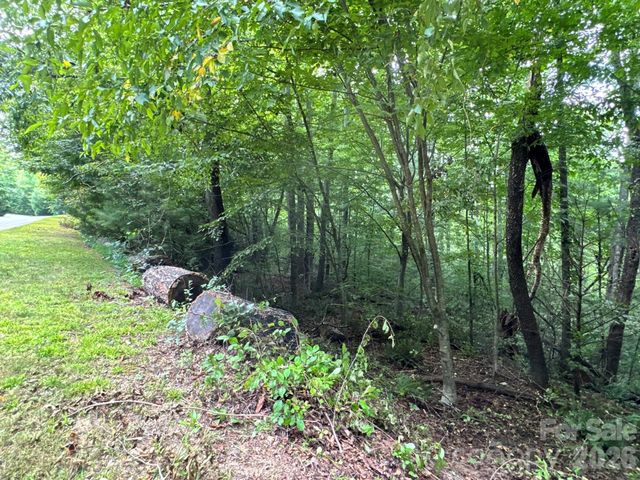 19 Garren View Drive, Fairview, NC 28730