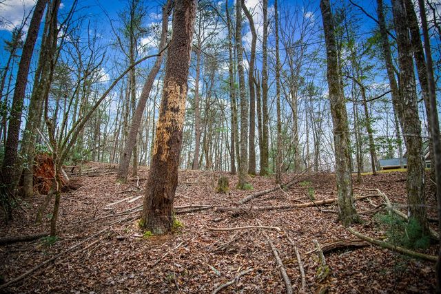 0 Seneca Drive, Ellijay, GA 30540
