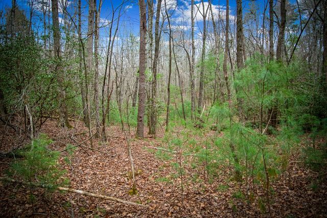 0 Seneca Drive, Ellijay, GA 30540