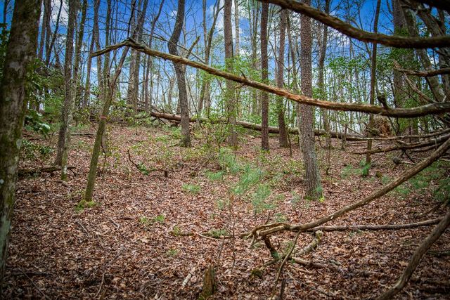 0 Seneca Drive, Ellijay, GA 30540