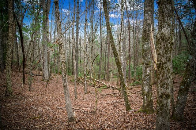 0 Seneca Drive, Ellijay, GA 30540