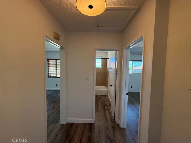 1023 W 19th Street 3, San Pedro, CA 90731