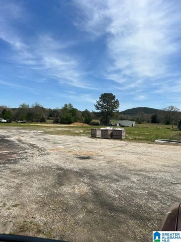 2806 OAKDALE ROAD, Alpine, AL 35014