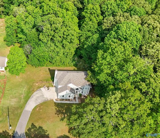 670 County Road 360, Trinity, AL 35673