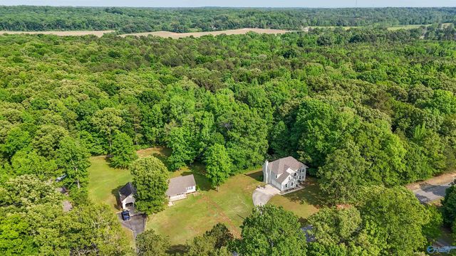 670 County Road 360, Trinity, AL 35673