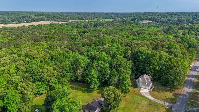 670 County Road 360, Trinity, AL 35673