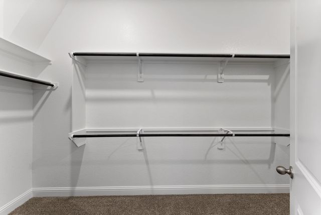 522 Black Bronco Road, Magnolia, TX 77354