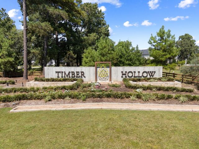 522 Black Bronco Road, Magnolia, TX 77354