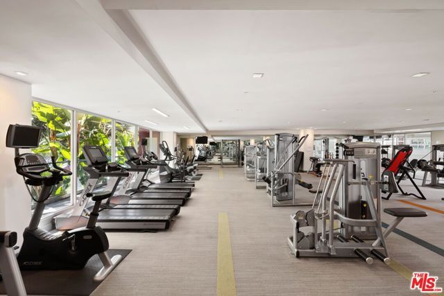 1234 Wilshire Boulevard 204, Los Angeles, CA 90017