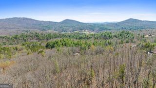 40A Synacia Road, Mineral Bluff, GA 30559