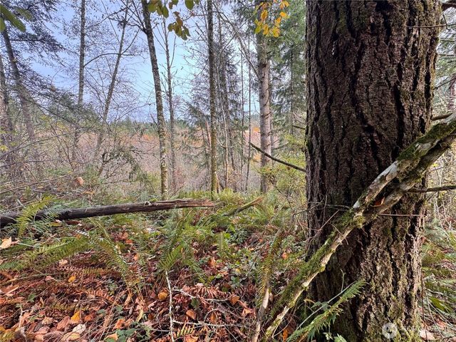 1618 Maple Valley Drive, Centralia, WA 98531