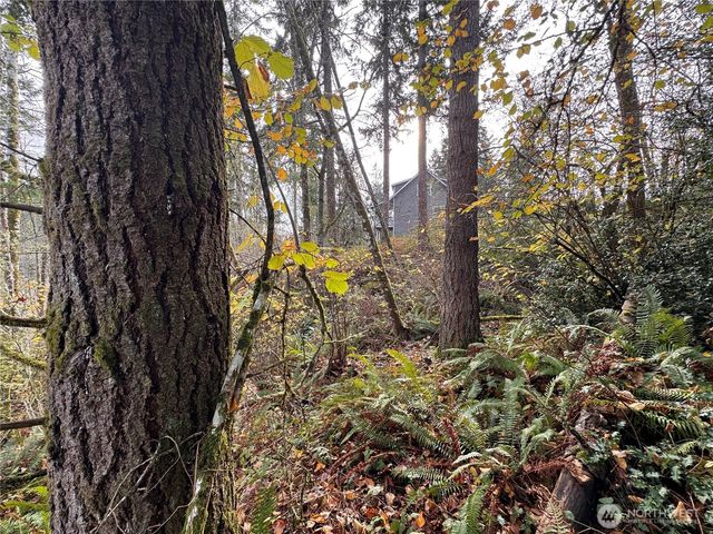 1618 Maple Valley Drive, Centralia, WA 98531