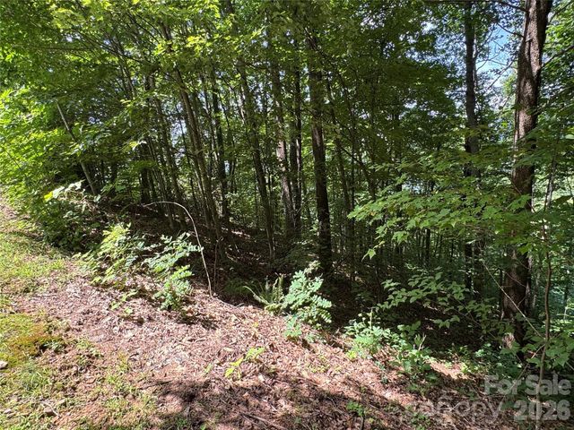 352 High Hickory Trail 20, Swannanoa, NC 28778