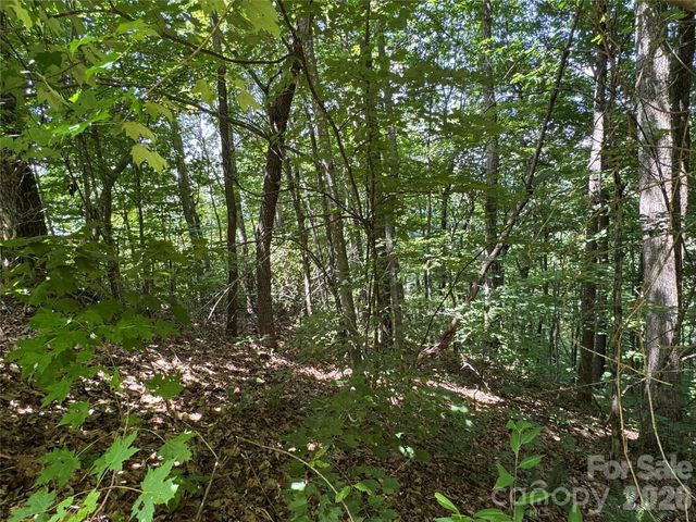352 High Hickory Trail 20, Swannanoa, NC 28778
