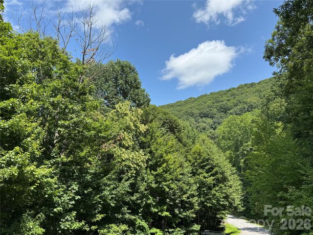 352 High Hickory Trail 20, Swannanoa, NC 28778