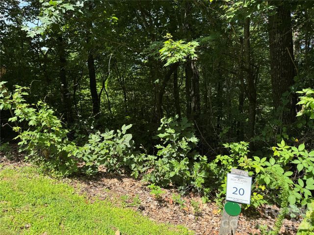 352 High Hickory Trail 20, Swannanoa, NC 28778