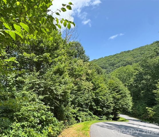 352 High Hickory Trail 20, Swannanoa, NC 28778