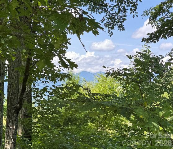 352 High Hickory Trail 20, Swannanoa, NC 28778