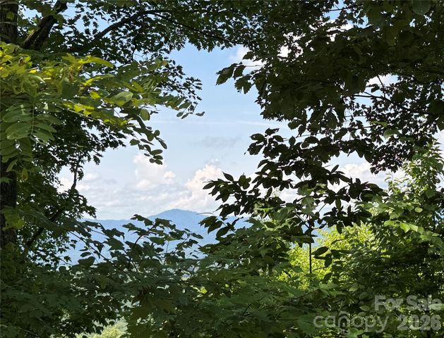 352 High Hickory Trail 20, Swannanoa, NC 28778