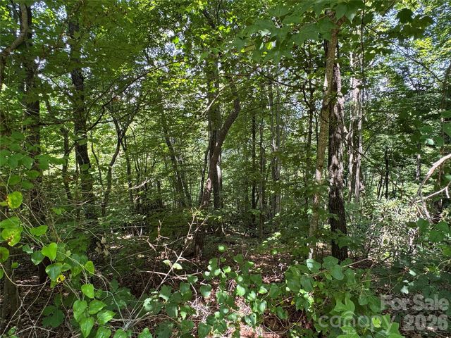 352 High Hickory Trail 20, Swannanoa, NC 28778