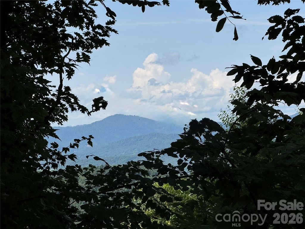352 High Hickory Trail 20, Swannanoa, NC 28778