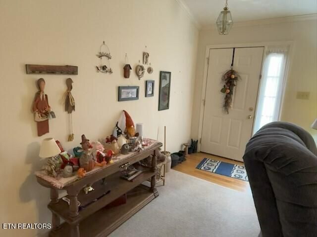 413 Herringbone Court, Powell, TN 37849