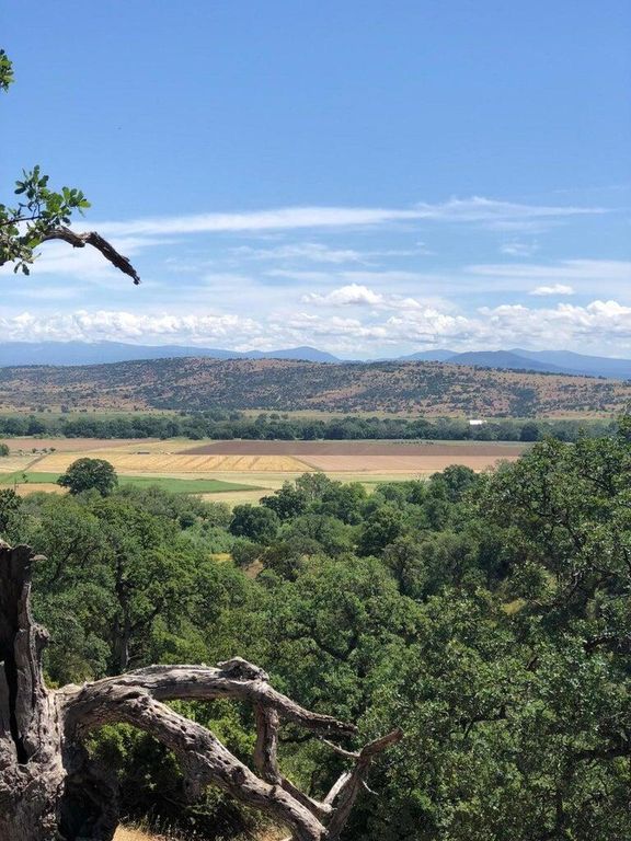 19828 Antelope Creek Drive, Cottonwood, CA 96022