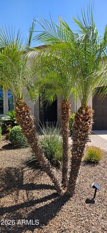 1807 E ALEGRIA Road, Queen Creek, AZ 85140