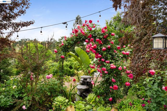 656 La Vista Rd, Walnut Creek, CA 94598