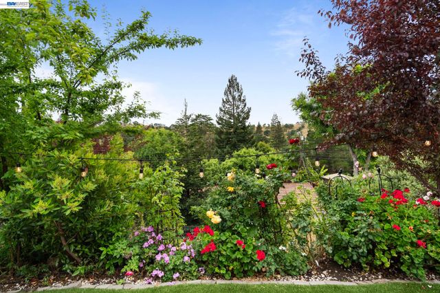 656 La Vista Rd, Walnut Creek, CA 94598