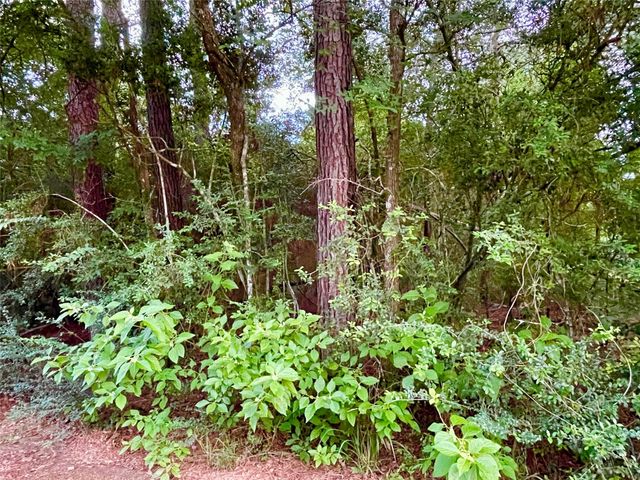 30803 Green Forest, Magnolia, TX 77354