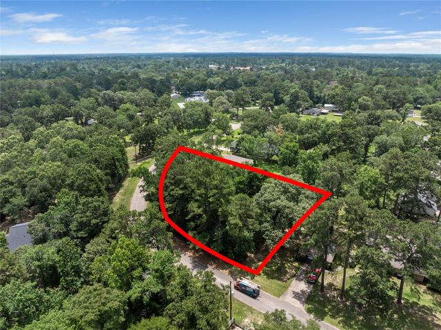 30803 Green Forest, Magnolia, TX 77354