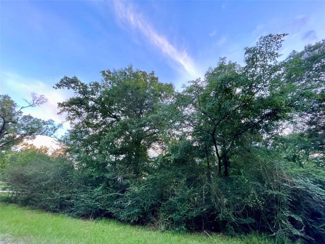 30803 Green Forest, Magnolia, TX 77354