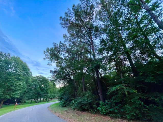 30803 Green Forest, Magnolia, TX 77354