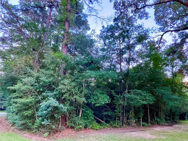 30803 Green Forest, Magnolia, TX 77354