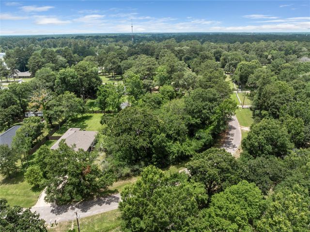 30803 Green Forest, Magnolia, TX 77354