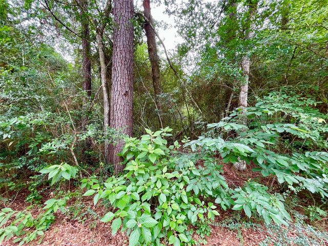 30803 Green Forest, Magnolia, TX 77354