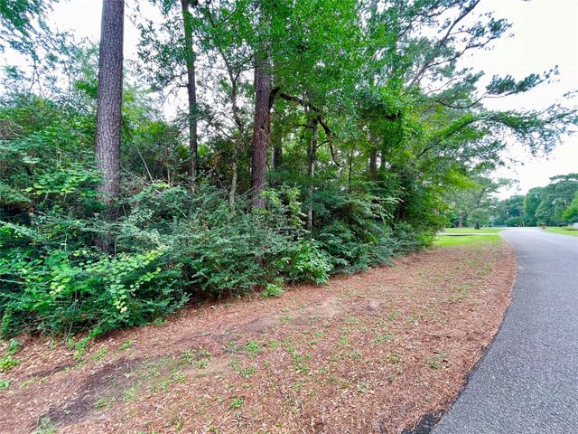 30803 Green Forest, Magnolia, TX 77354
