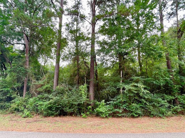 30803 Green Forest, Magnolia, TX 77354