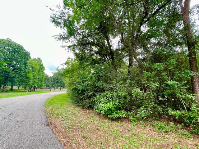 30803 Green Forest, Magnolia, TX 77354